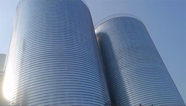 双柏2座混凝土高架卷板仓